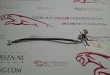 Remslang rechts voor ZGAN X350 C2C33814