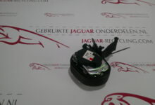 Gordel links voor XF X260 bruin